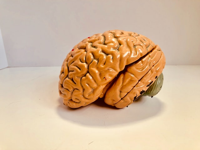 Long-Term Effects of Street Drugs on the Brain long-term-effect-street-drugs-crack-brain