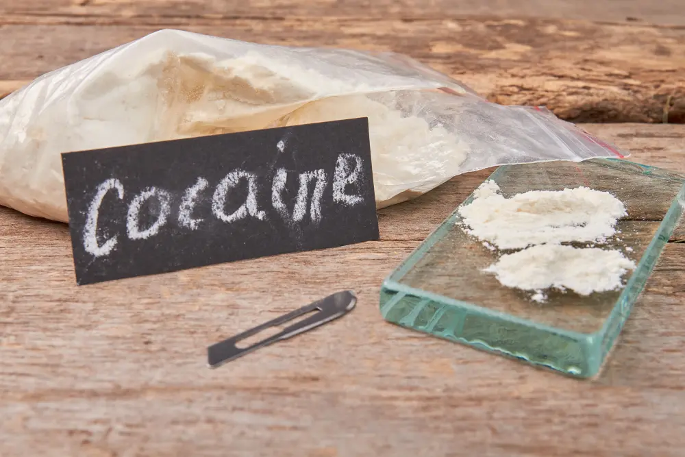 Cocaine Effects: What Does Cocaine Do To Your Mind and Body? Cocaine Effects: What Does Cocaine Do To Your Mind and Body?