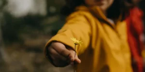 Is alcohol addictive?